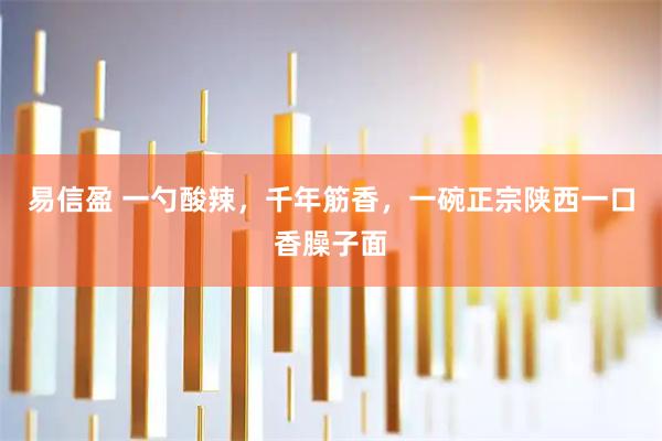易信盈 一勺酸辣，千年筋香，一碗正宗陕西一口香臊子面