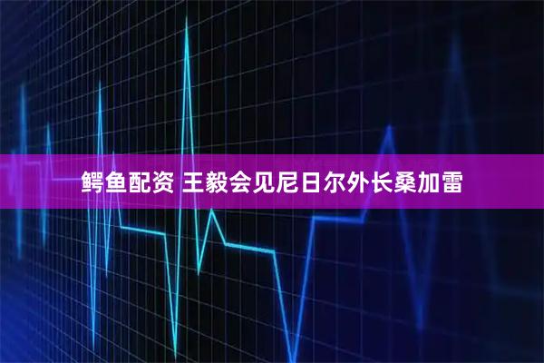 鳄鱼配资 王毅会见尼日尔外长桑加雷