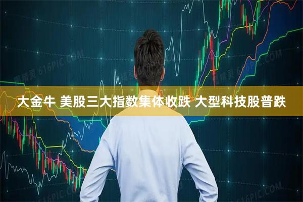 大金牛 美股三大指数集体收跌 大型科技股普跌