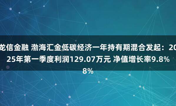 龙信金融 渤海汇金低碳经济一年持有期混合发起：2025年第一季度利润129.07万元 净值增长率9.8%