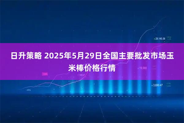 日升策略 2025年5月29日全国主要批发市场玉米棒价格行情