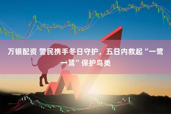 万银配资 警民携手冬日守护，五日内救起“一鹭一鵟”保护鸟类