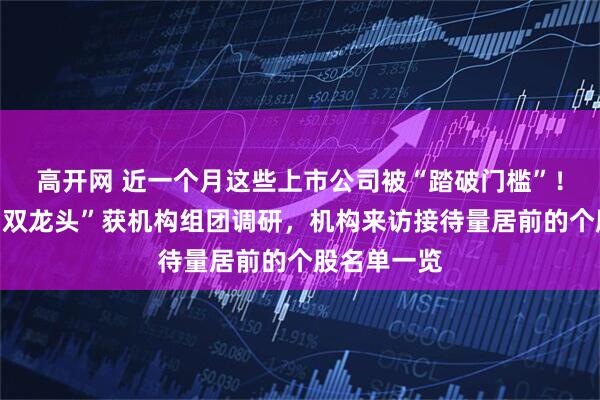高开网 近一个月这些上市公司被“踏破门槛”！算力芯片“双龙头”获机构组团调研，机构来访接待量居前的个股名单一览